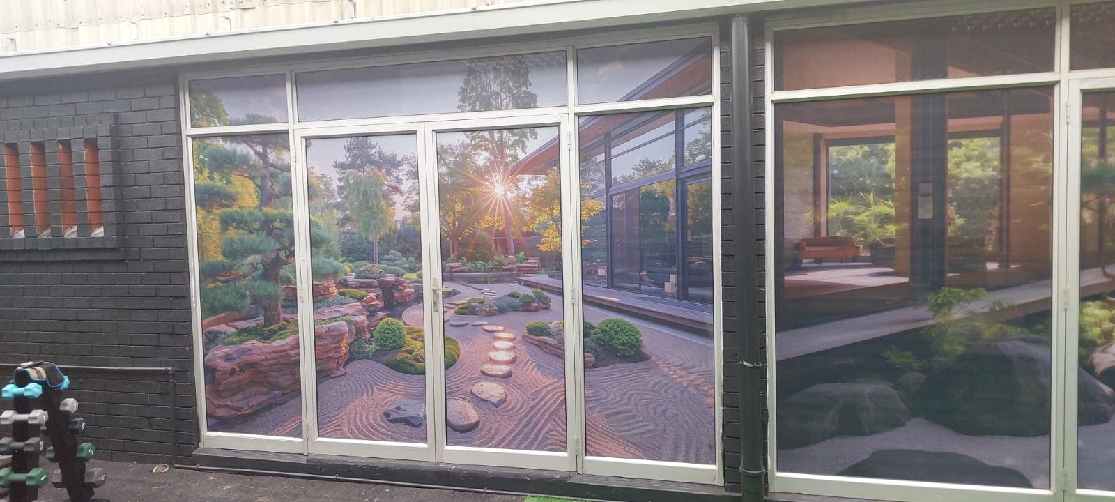 Pro Graphics Project 4